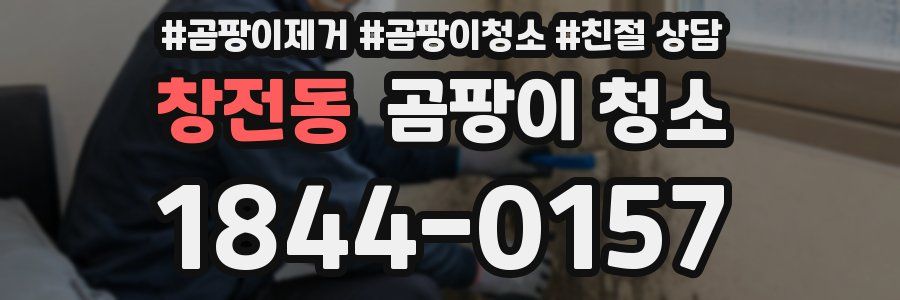 창전동 곰팡이 청소