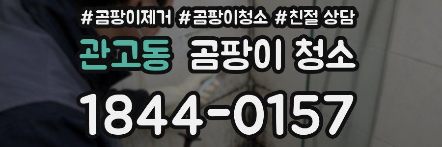 관고동 곰팡이 청소