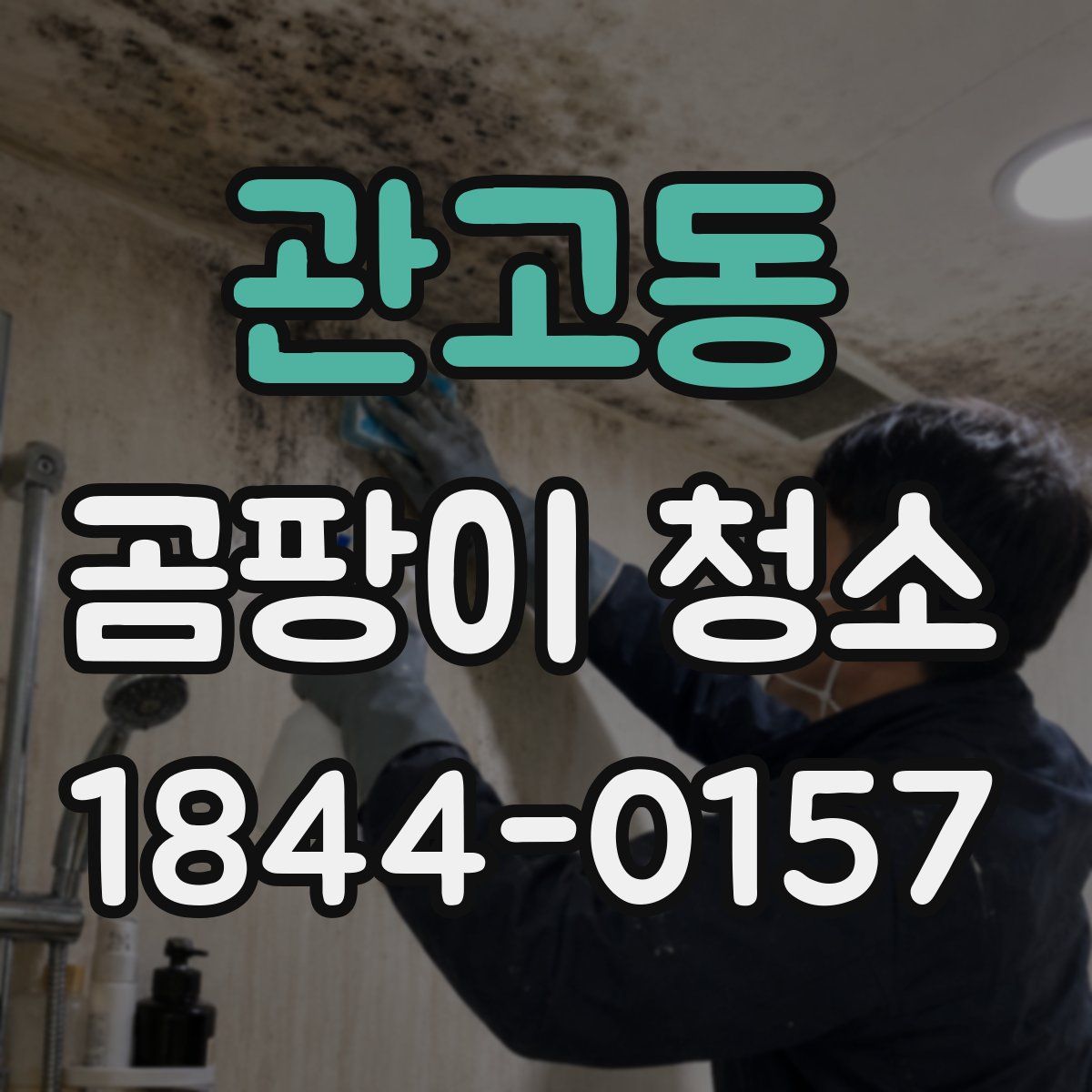 관고동 곰팡이 청소
