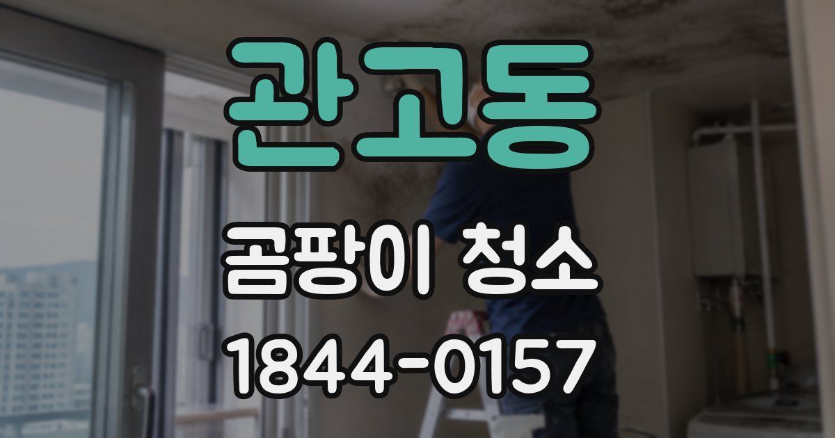 관고동 곰팡이 청소