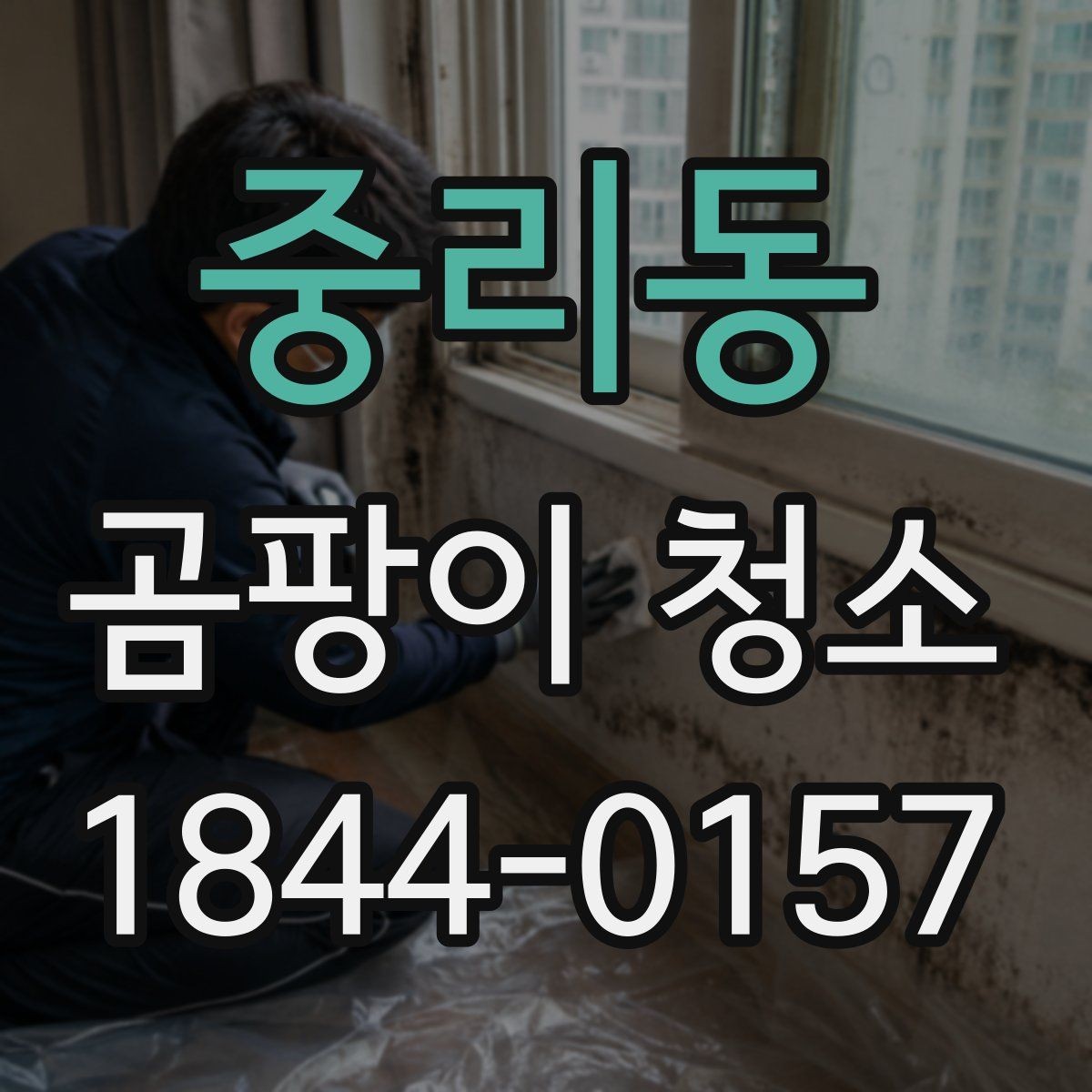 중리동 곰팡이 청소 후 추가 방지 대책 세우는 법