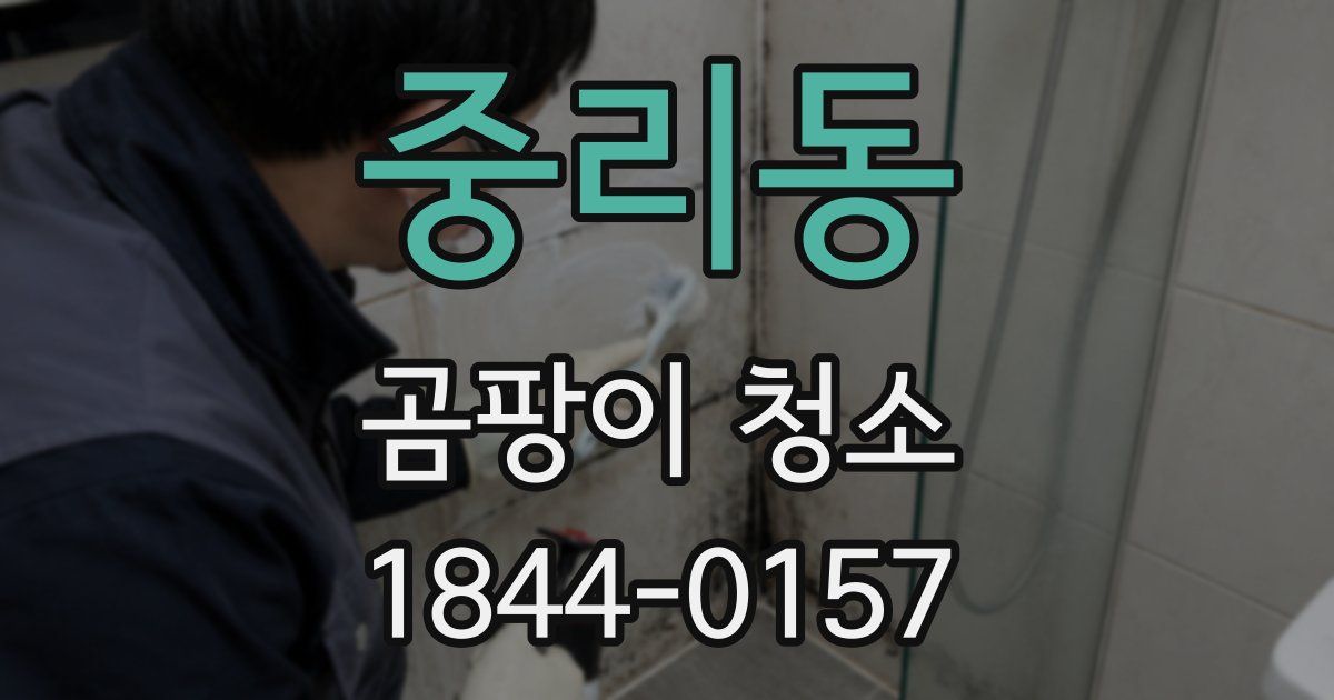 중리동 곰팡이 청소