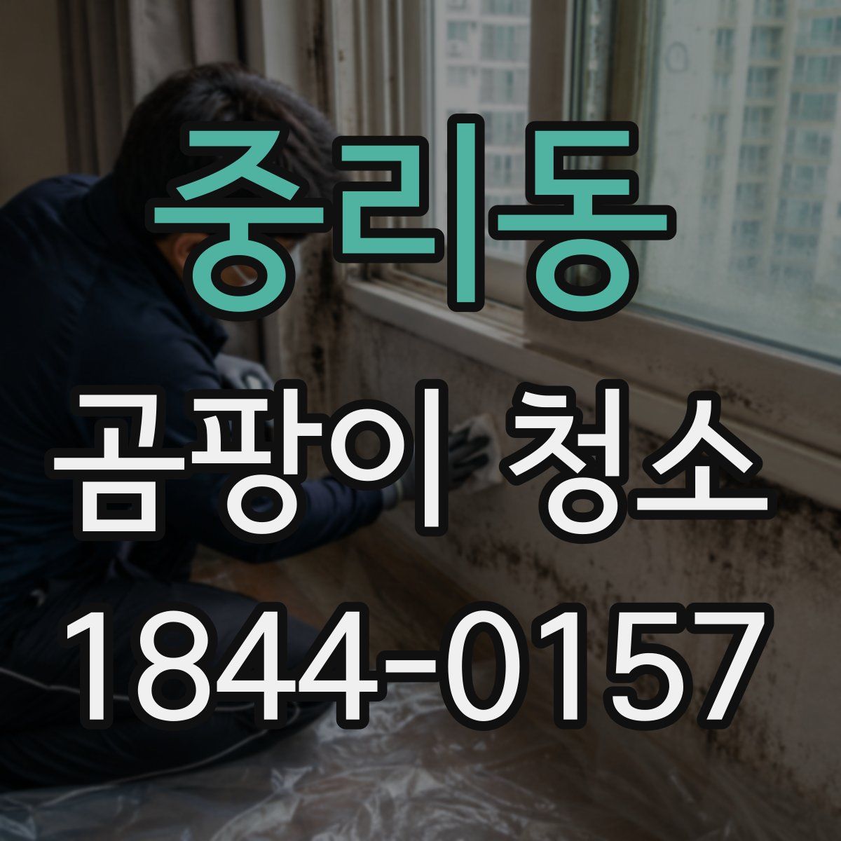 중리동 곰팡이 청소