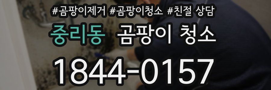 중리동 곰팡이 청소