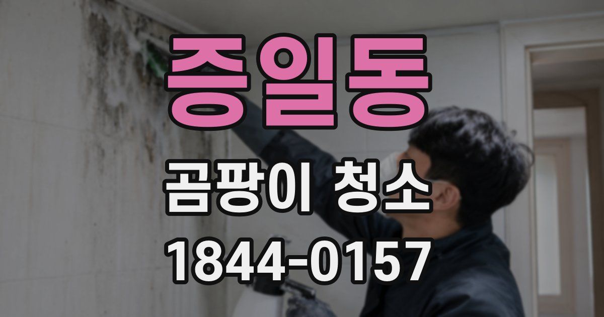 증일동 곰팡이 청소
