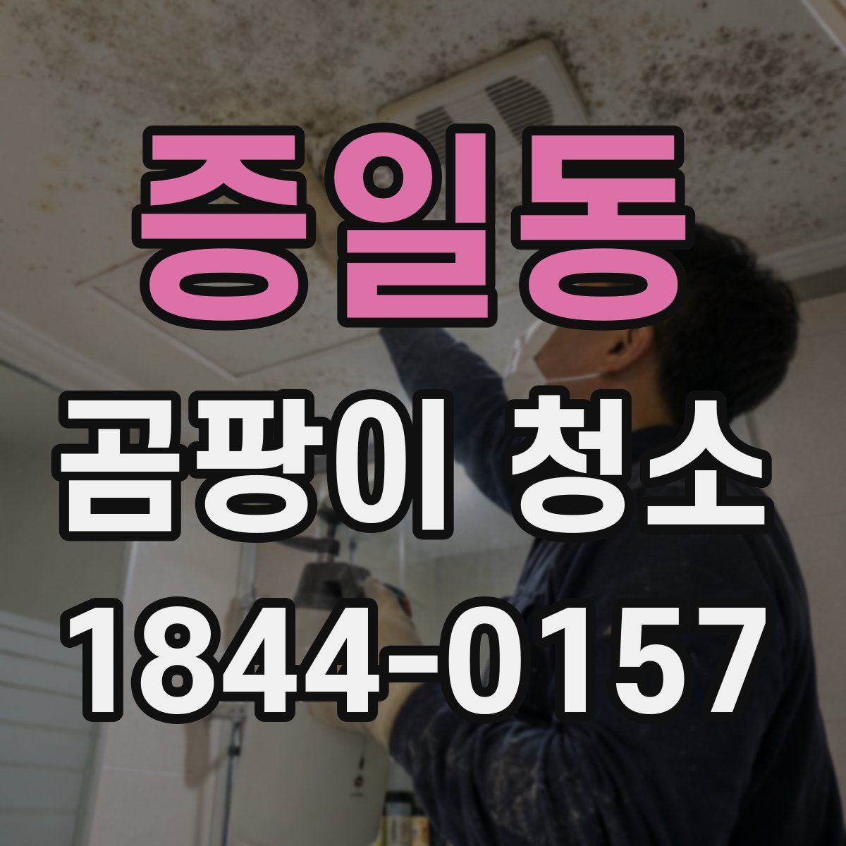 증일동 곰팡이 청소