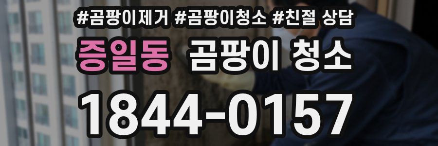 증일동 곰팡이 청소