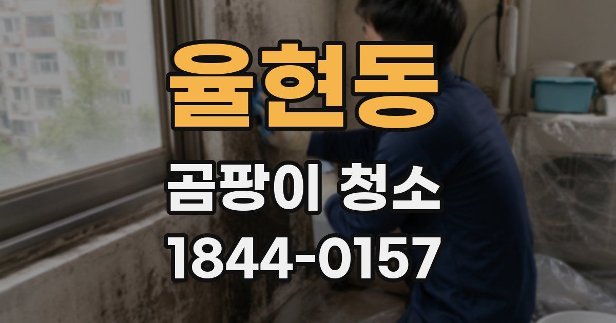 율현동 곰팡이 청소