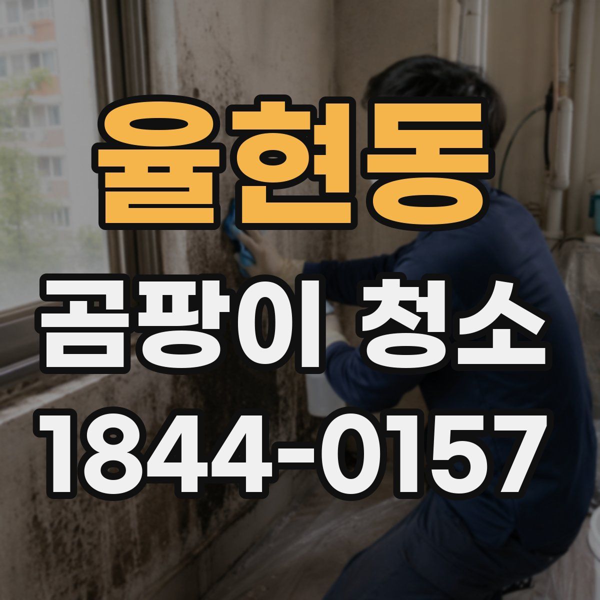 율현동 곰팡이 청소