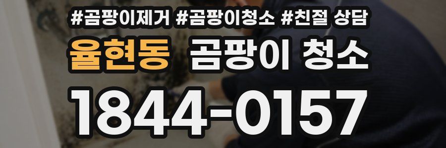 율현동 곰팡이 청소