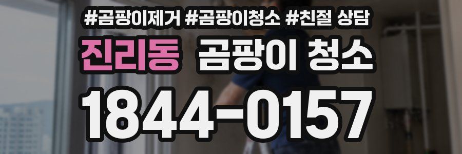 진리동 곰팡이 청소