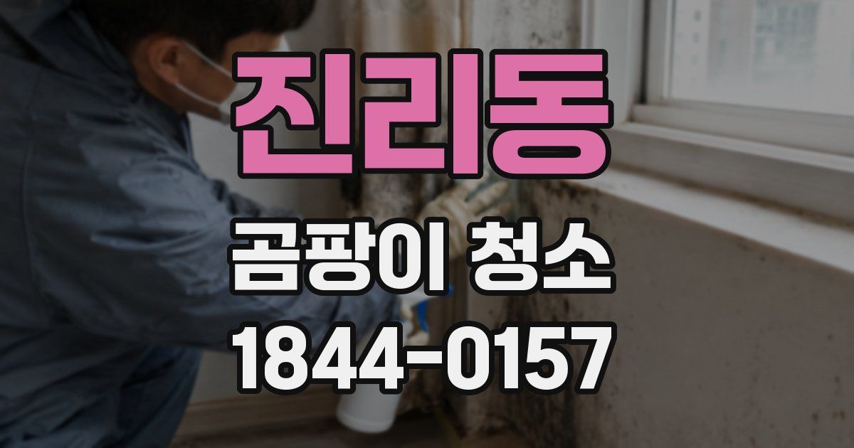 진리동 곰팡이 청소