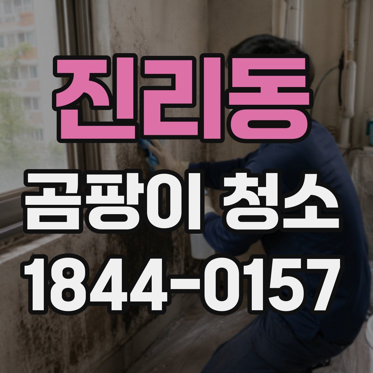 진리동 곰팡이 청소