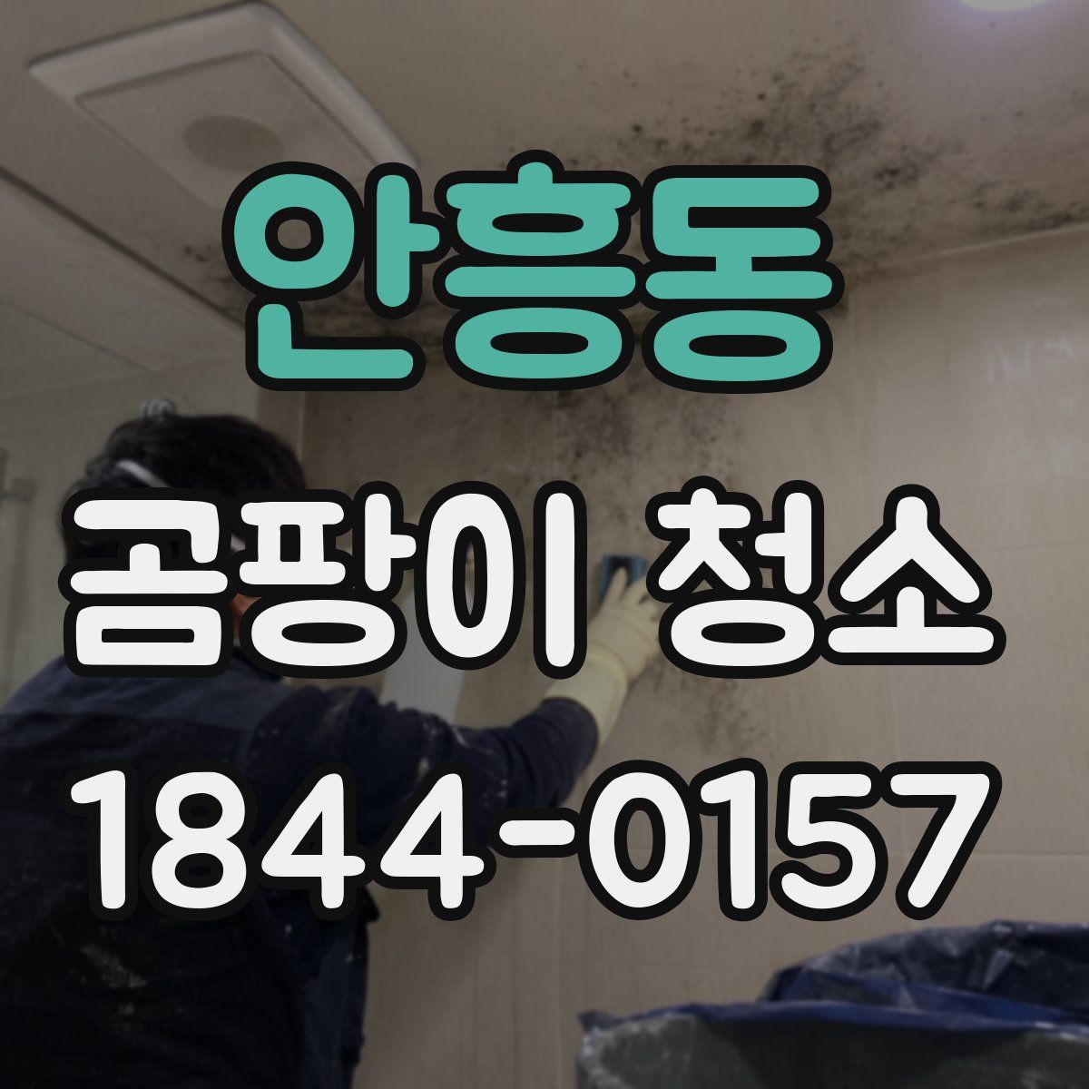 안흥동 곰팡이 청소