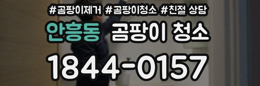 안흥동 곰팡이 청소