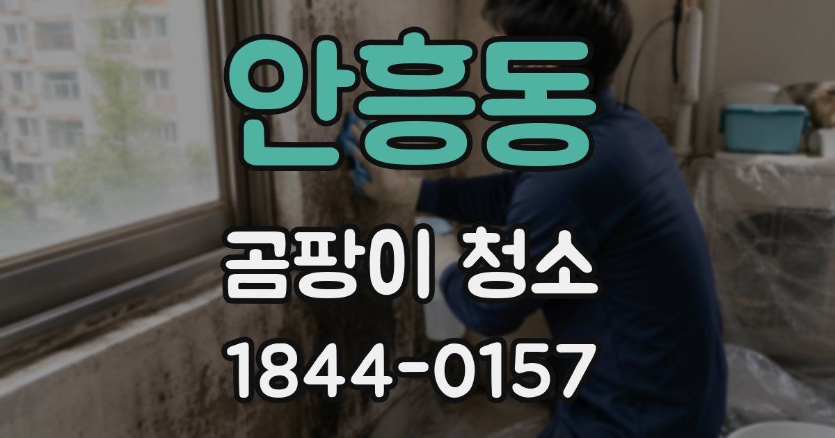안흥동 곰팡이 청소
