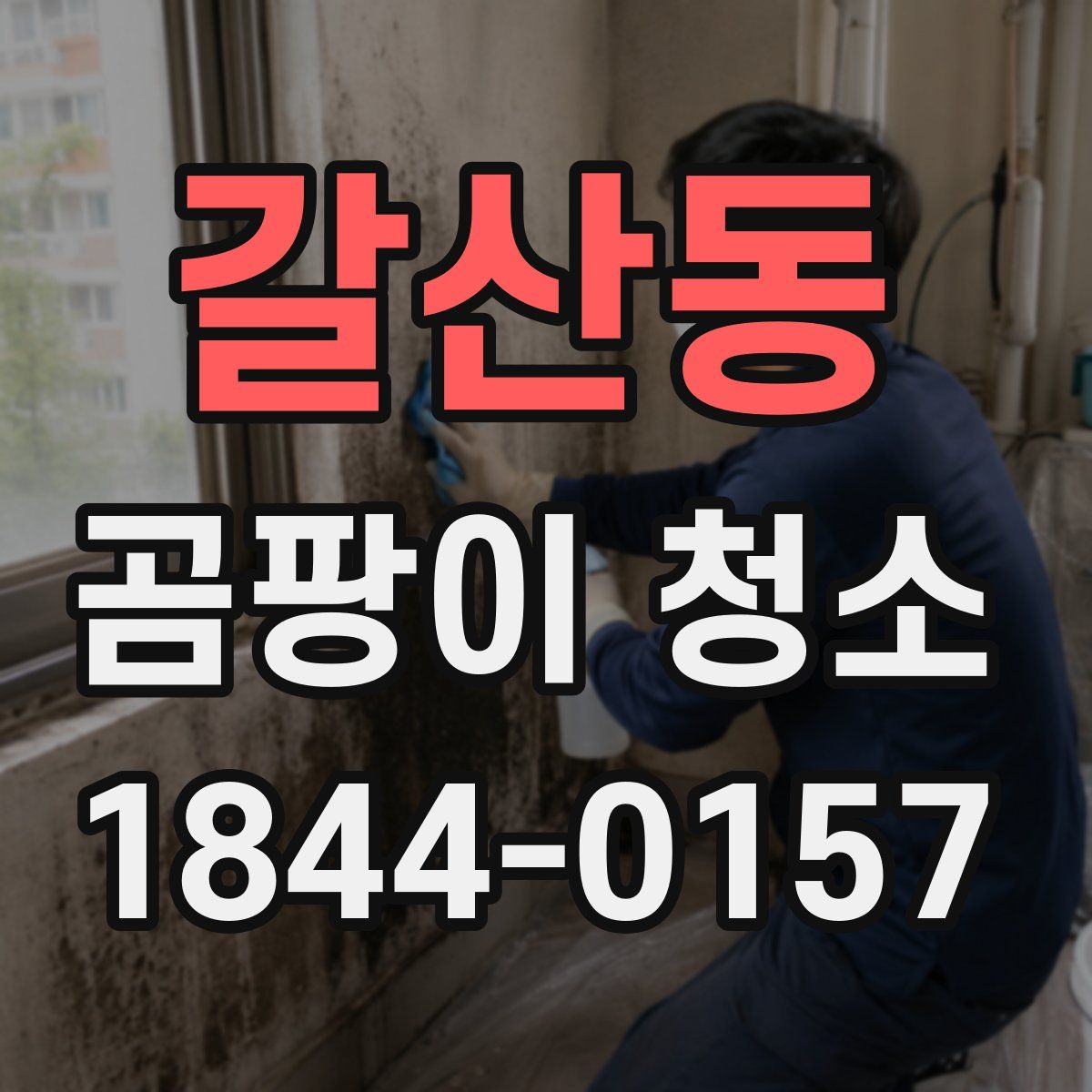 갈산동 곰팡이 청소