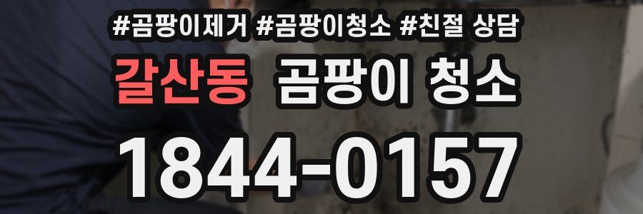 갈산동 곰팡이 청소