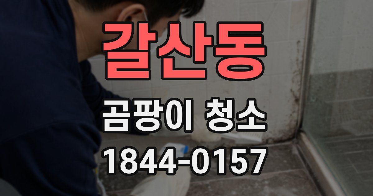 갈산동 곰팡이 청소