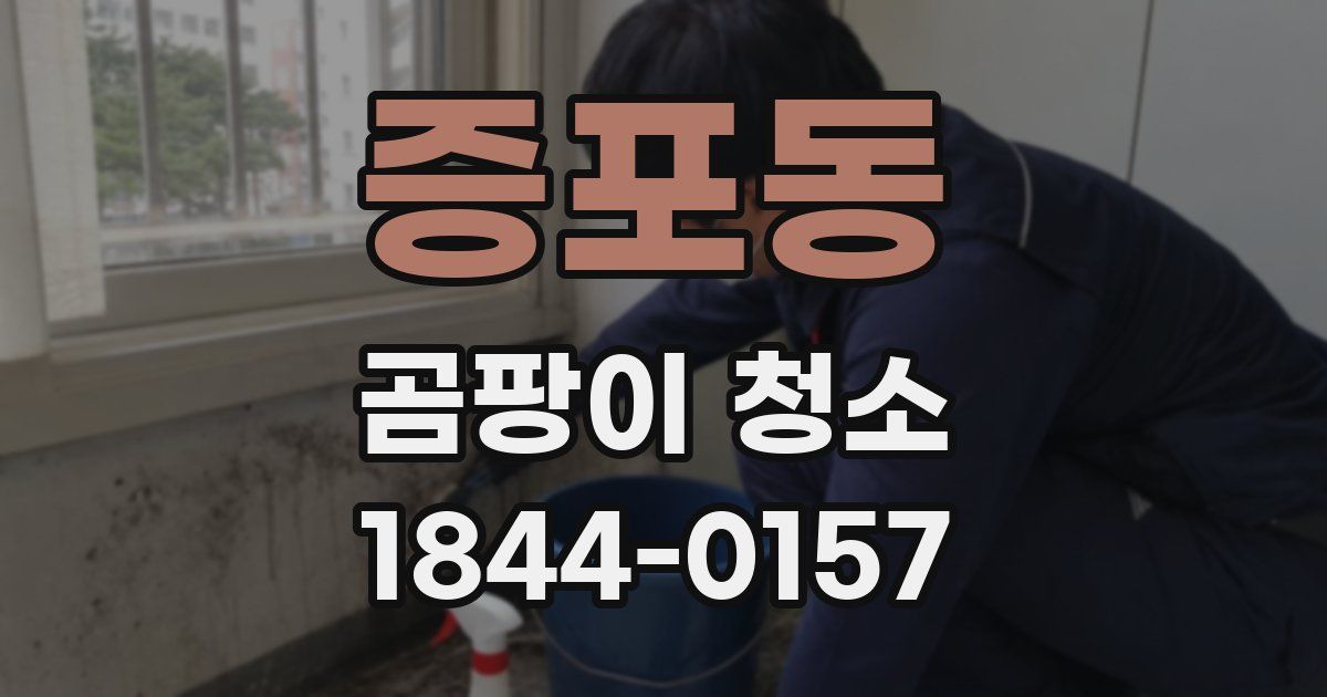 증포동 곰팡이 청소