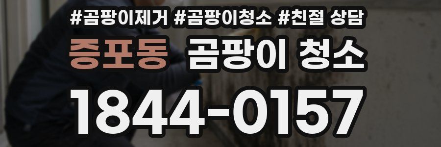 증포동 곰팡이 청소