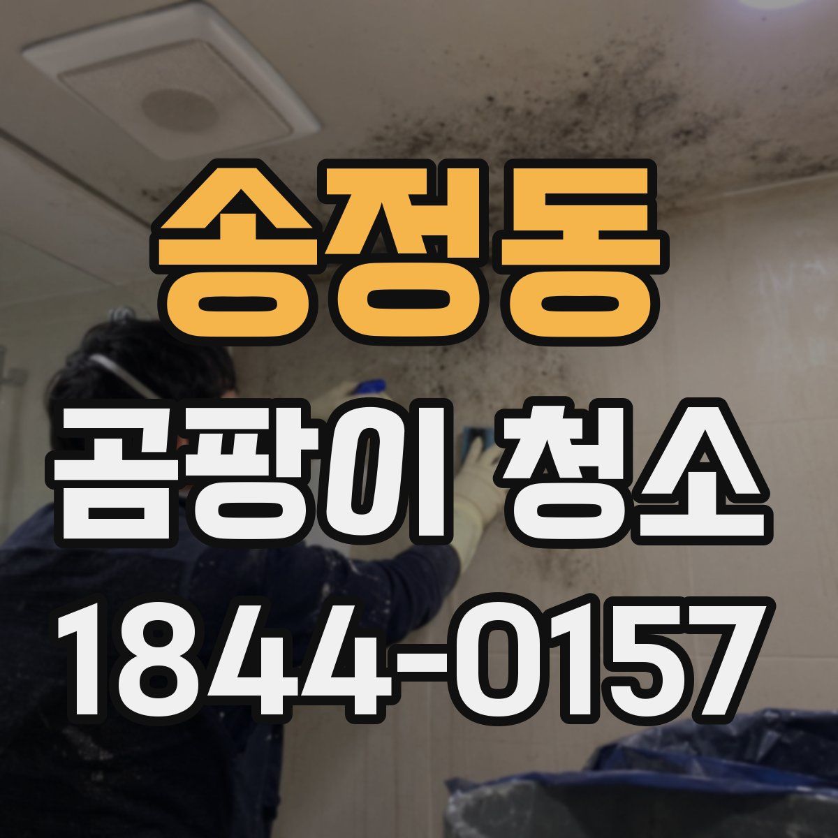 송정동 곰팡이 청소