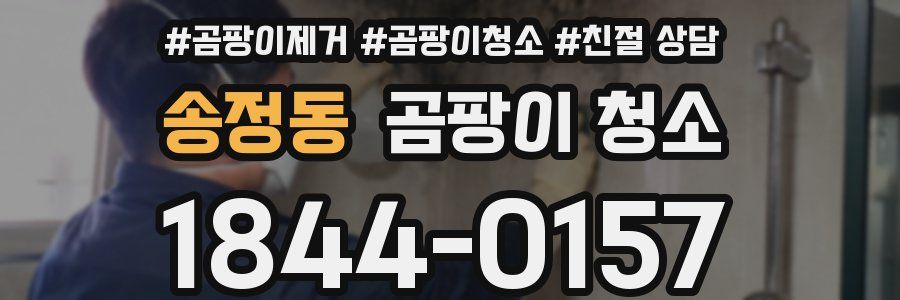 송정동 곰팡이 청소