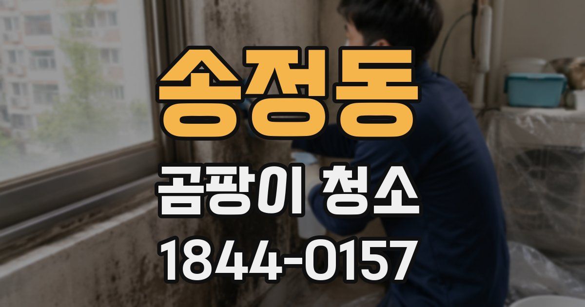 송정동 곰팡이 청소