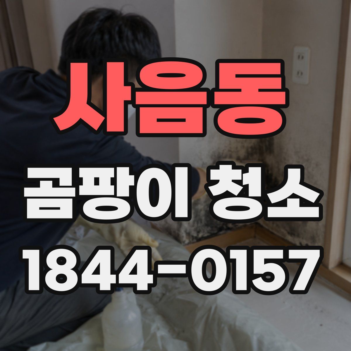 사음동 곰팡이 청소