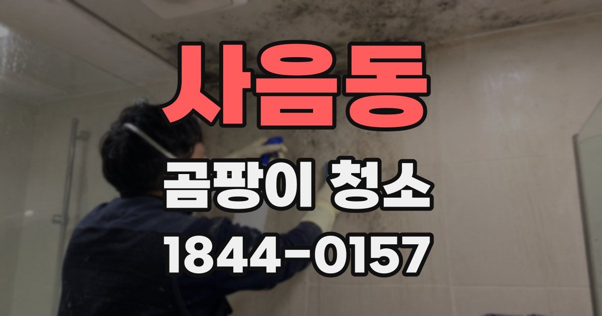 사음동 곰팡이 청소