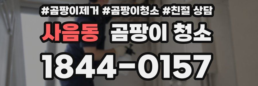 사음동 곰팡이 청소