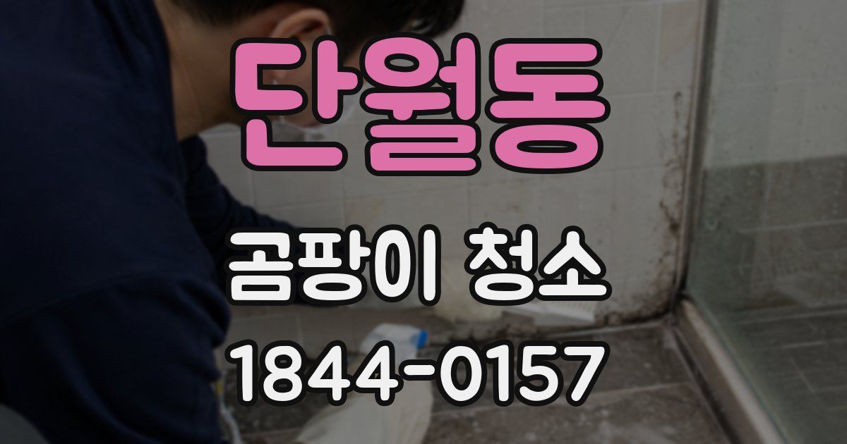 단월동 곰팡이 청소