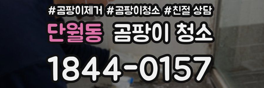 단월동 곰팡이 청소
