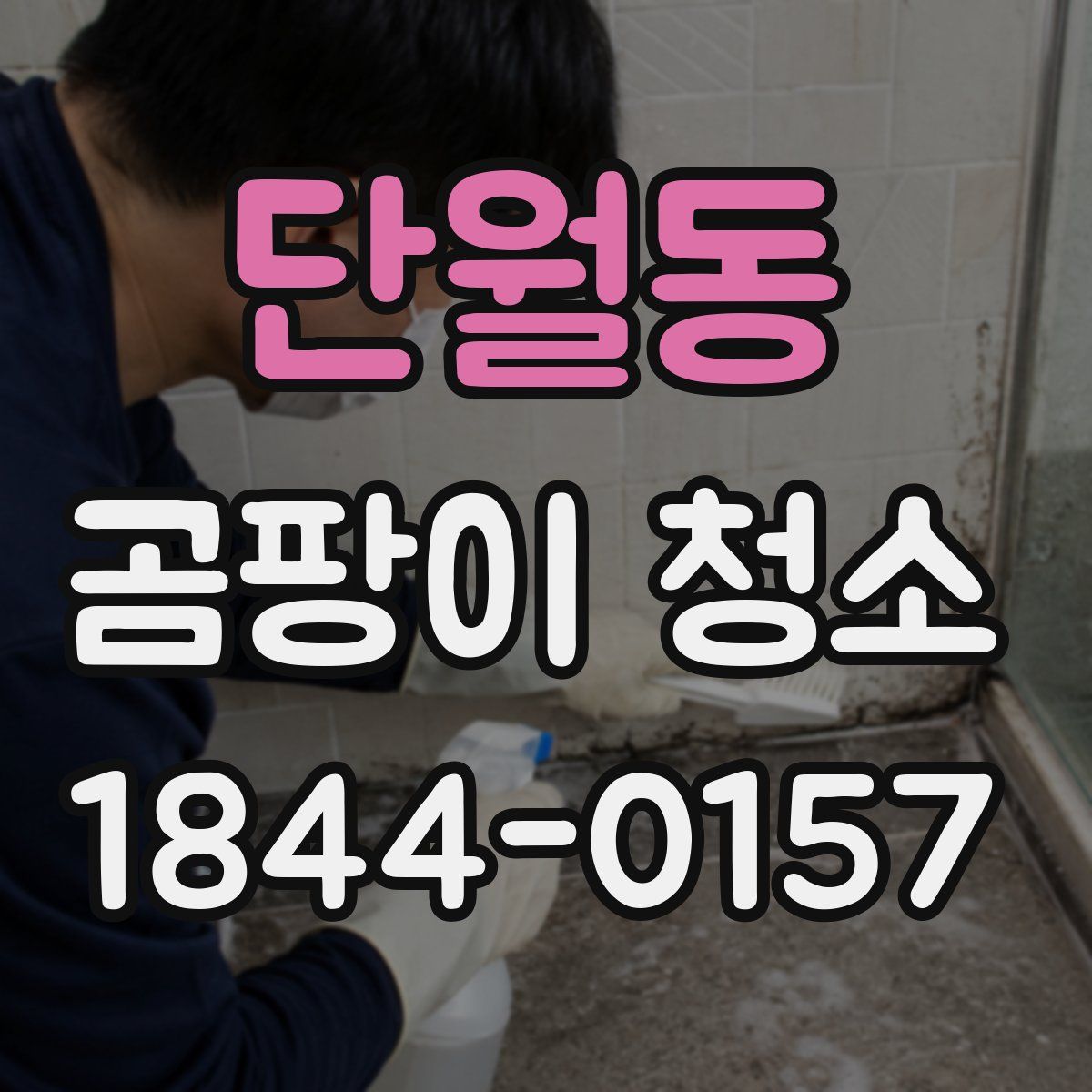 단월동 곰팡이 청소