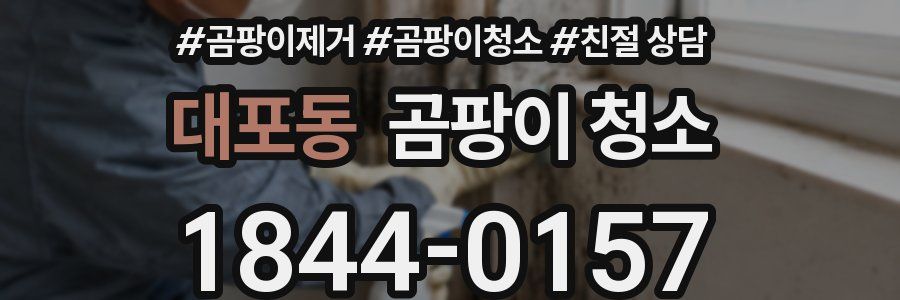 대포동 곰팡이 청소