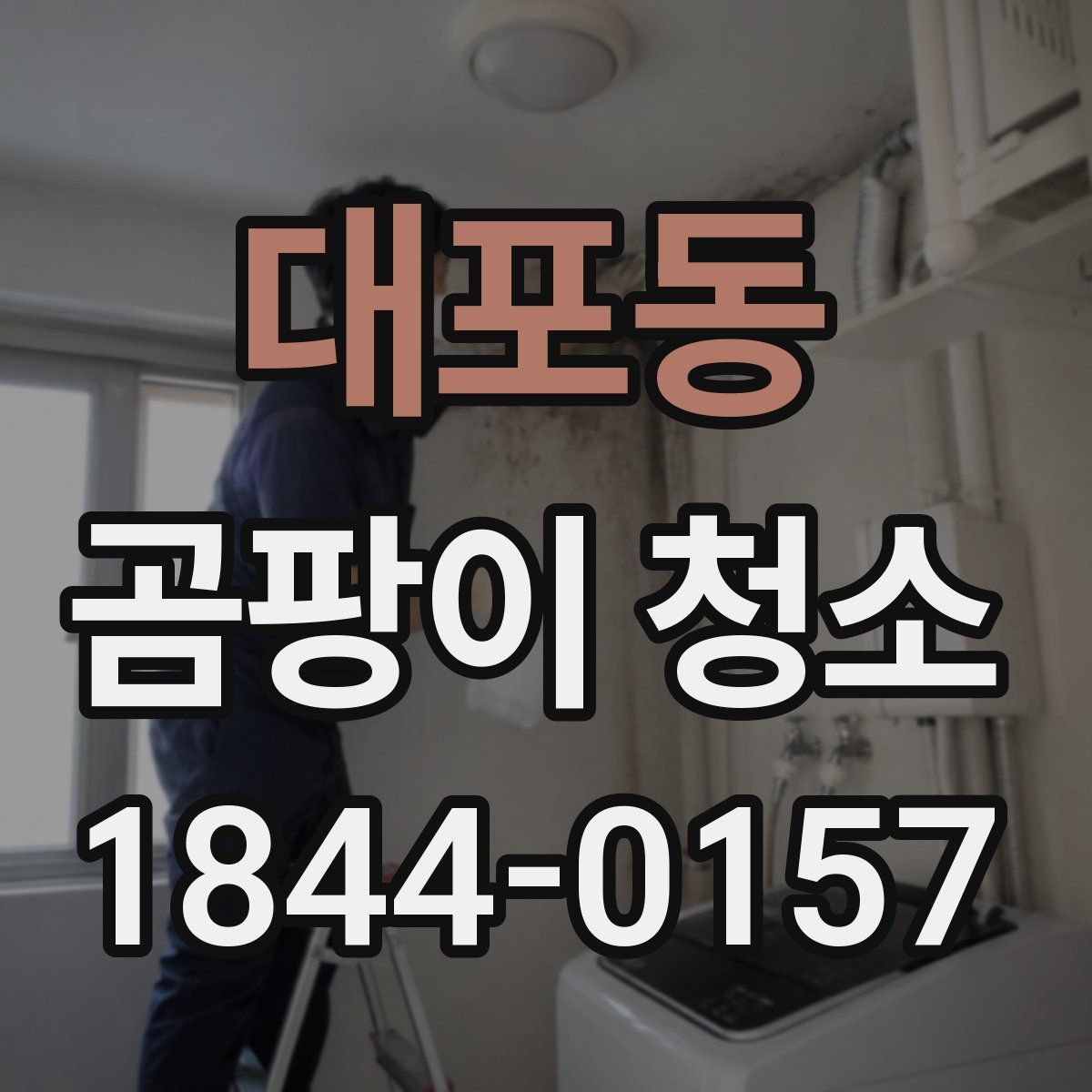 대포동 곰팡이 청소
