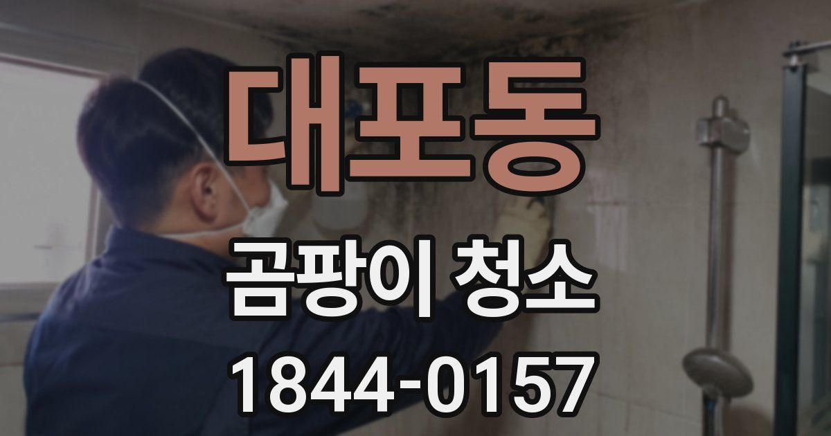 대포동 곰팡이 청소