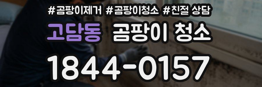 고담동 곰팡이 청소