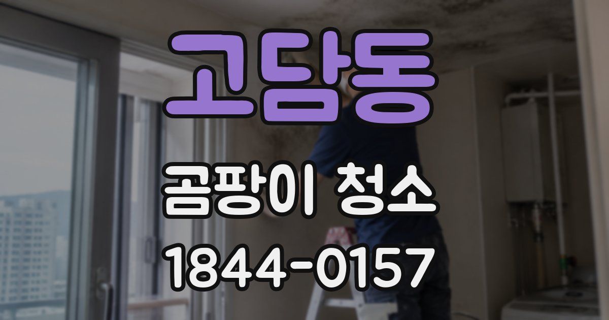 고담동 곰팡이 청소