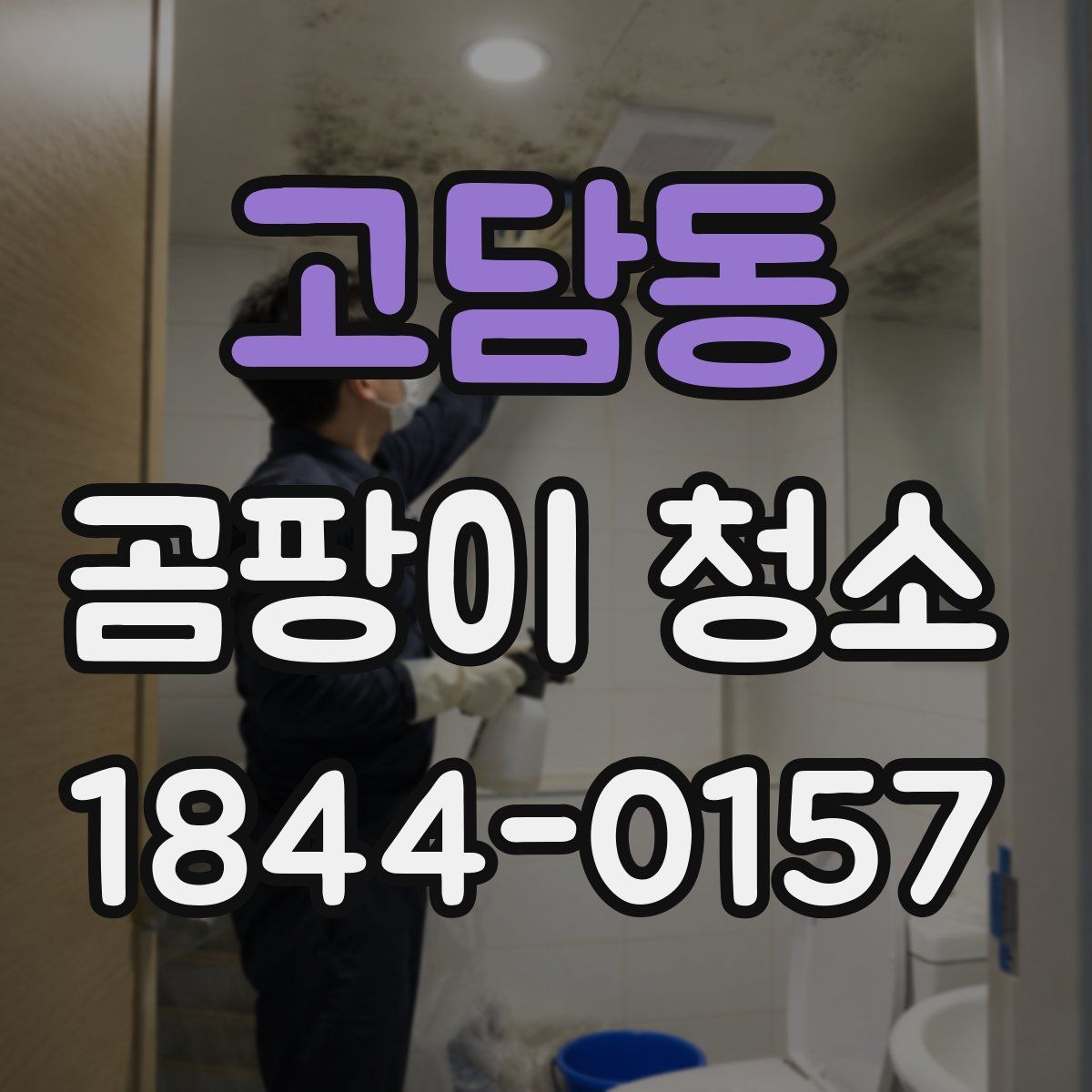고담동 곰팡이 청소