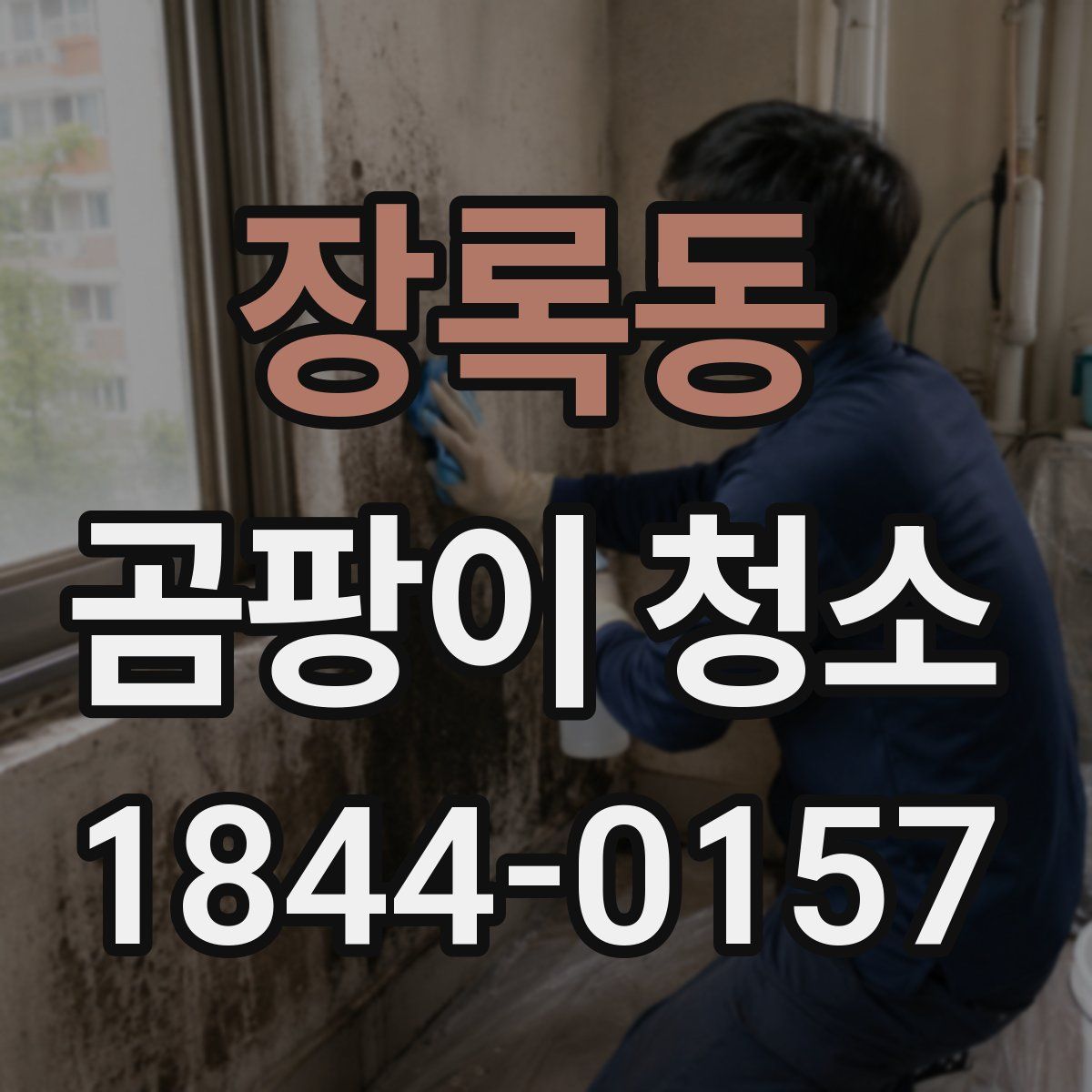 장록동 곰팡이 청소