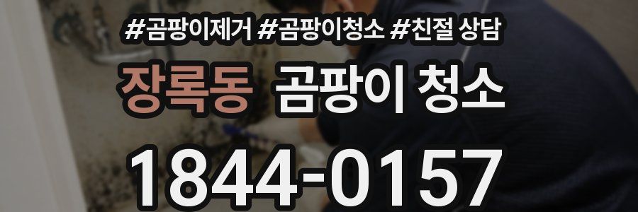 장록동 곰팡이 청소