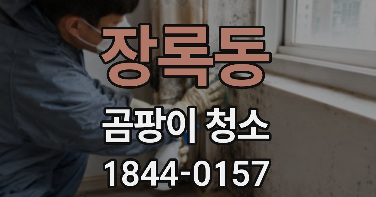 장록동 곰팡이 청소