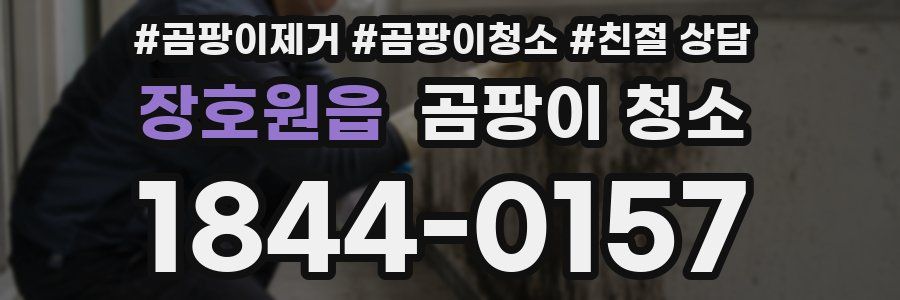 장호원읍 곰팡이 청소