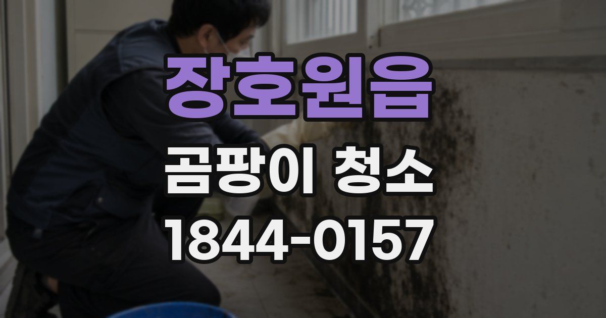 장호원읍 곰팡이 청소