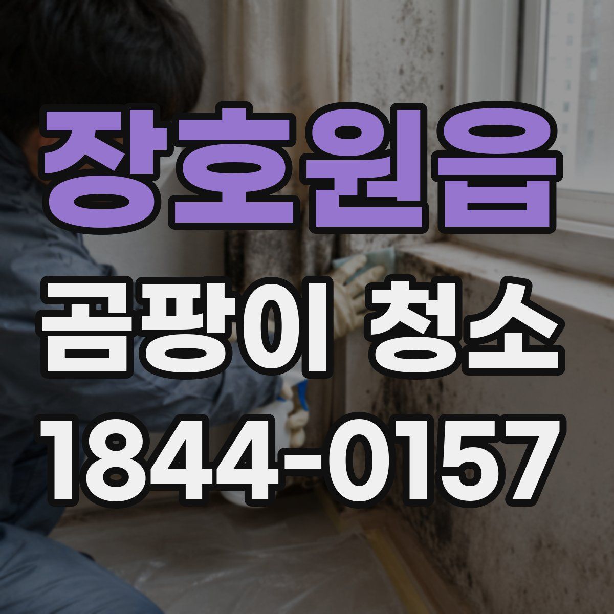 장호원읍 곰팡이 청소