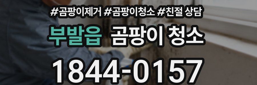 부발읍 곰팡이 청소