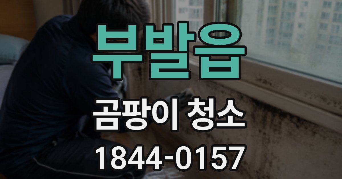 부발읍 곰팡이 청소
