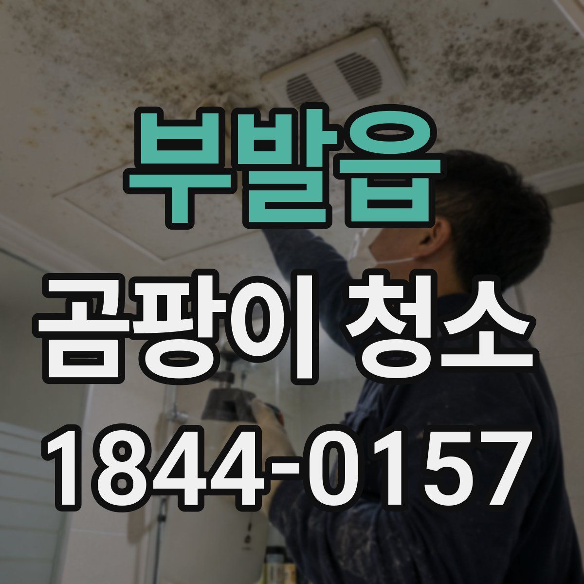 부발읍 곰팡이 청소