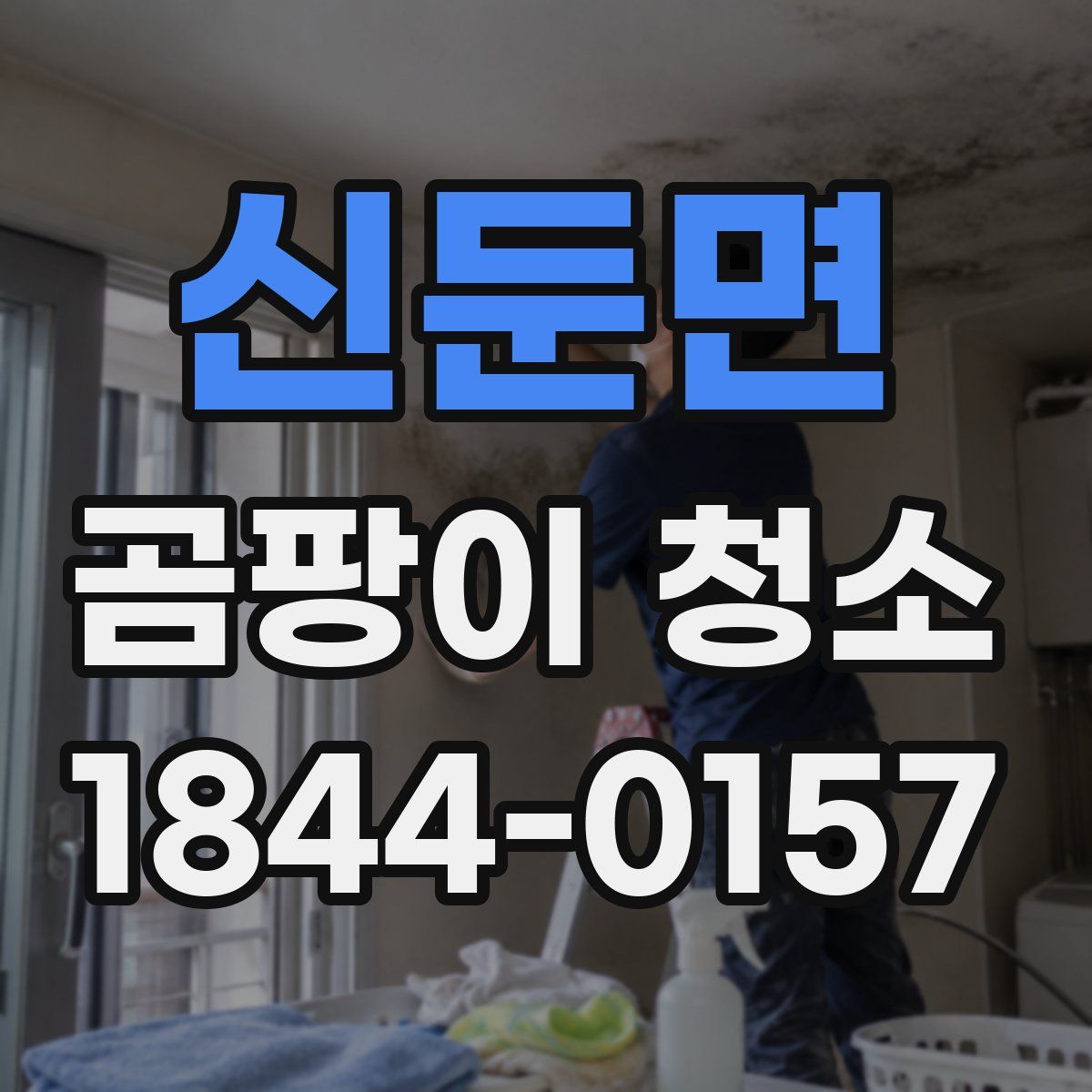 신둔면 곰팡이 청소